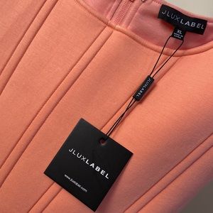 NWT. Womens JLuxeLabel Peach Skirt & Corset